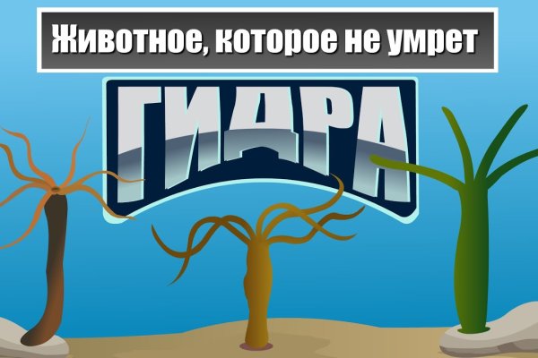 Не работает сайт через тор омг