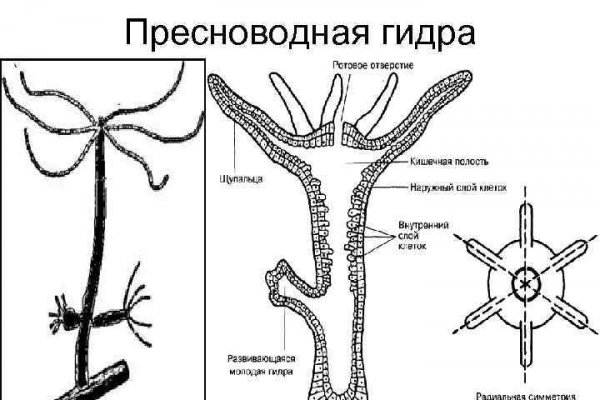 Омг тор браузер